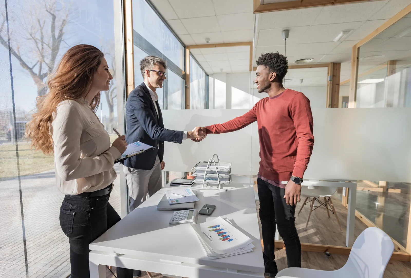 Business professionals networking